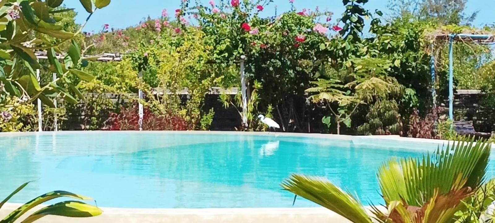 Matemwe Ocean View Villas Exterior photo